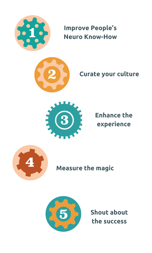 5 Critical Phases Improve People’s Neuro Know-How